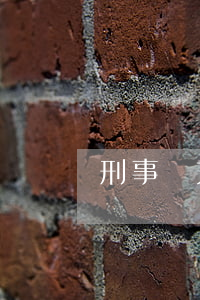 刑事補充鑒定的條件是什么？